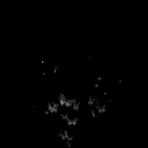 Meet your Posher, Evelina